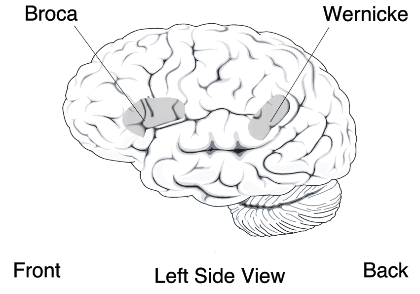 mind map