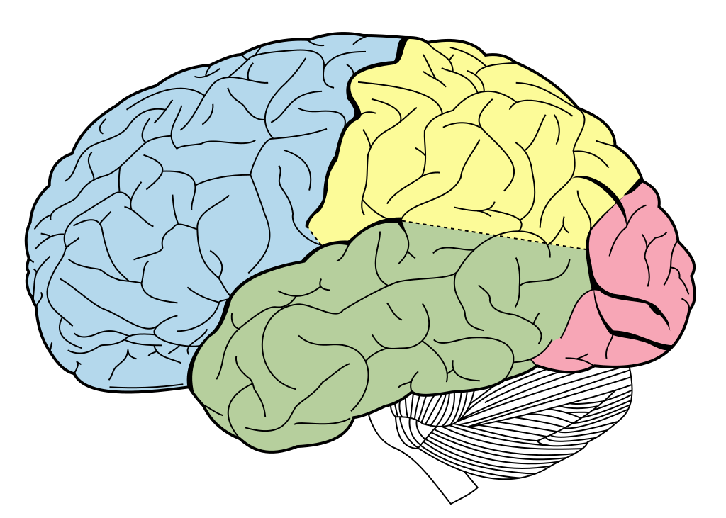 mind map